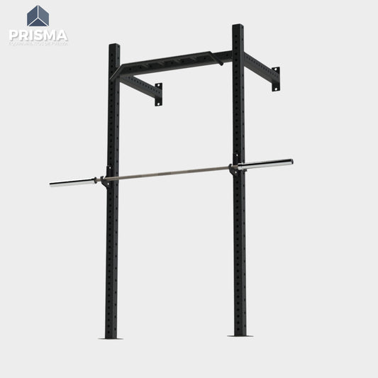 Raptor Wall Rack WR-100